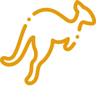 Kangaroo VPN